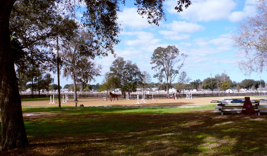 View of the HITS Arena from HITS Ocala Stalls Farm